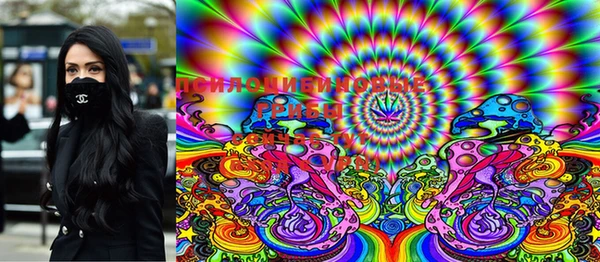 PSILOCYBIN Алексин
