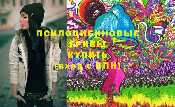 PSILOCYBIN Алексин